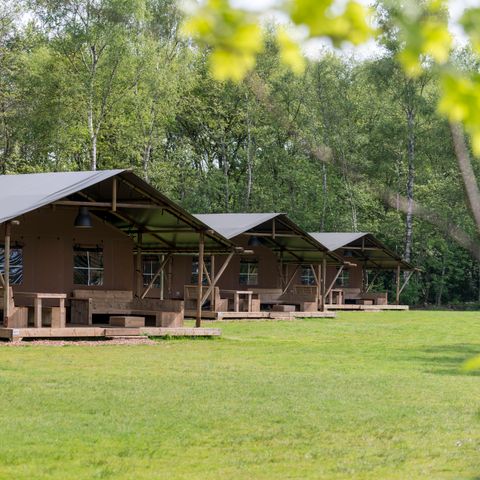 TENTE TOILE ET BOIS 6 personnes - Ferme