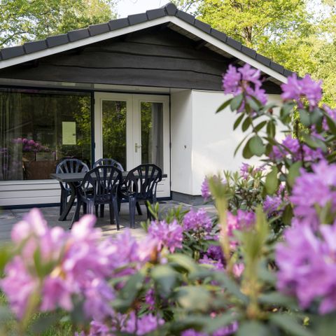 BUNGALOW 4 personnes - Aubépine des bois