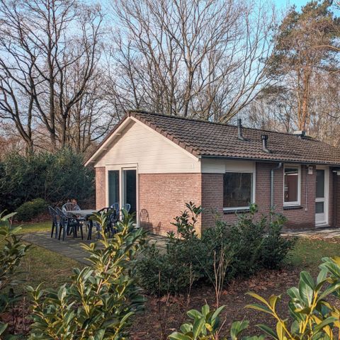 BUNGALOW 6 personnes - Bungalow forestier Cranberry