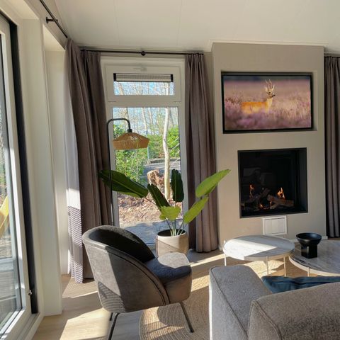 BUNGALOW 6 personnes - Rose de saule de la forêt