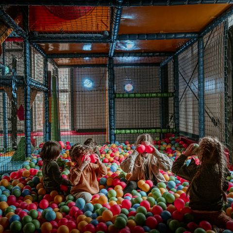 Vakantiepark Westerbergen - Camping De Wolden - Image N°3