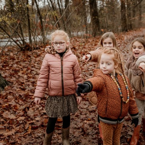 Vakantiepark Westerbergen - Camping De Wolden - Image N°3