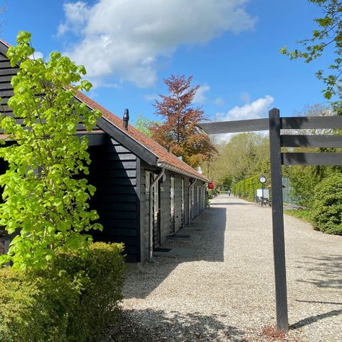 De Tabaksschuur - Camping Rhenen - Image N°5