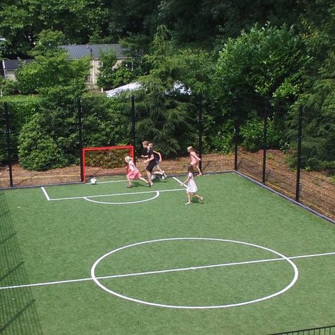 De Tabaksschuur - Camping Rhenen - Image N°2