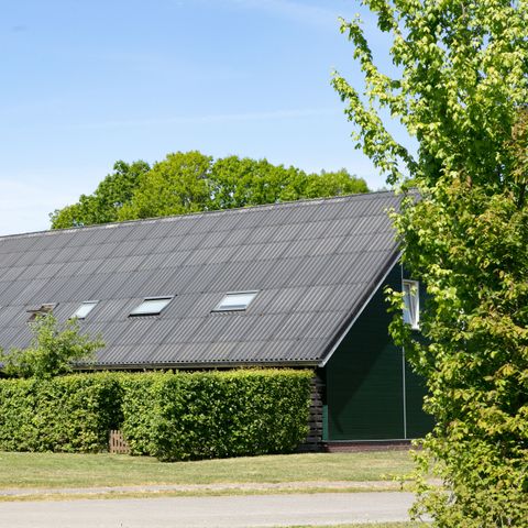 Horsetellerie Rheezerveen - Camping Hardenberg - Image N°3