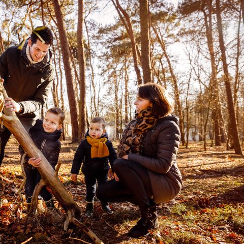 RCN Vakantiepark de Flaasbloem - Camping Goirle - Image N°4