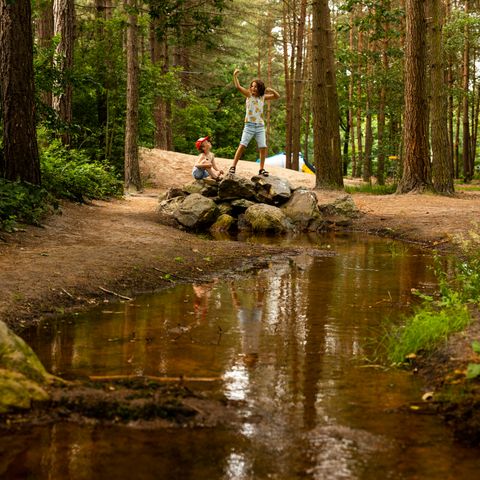 RCN Vakantiepark de Flaasbloem - Camping Goirle - Image N°5