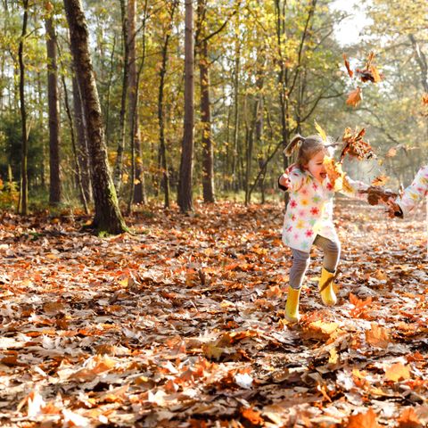 RCN Vakantiepark de Flaasbloem - Camping Goirle - Image N°3