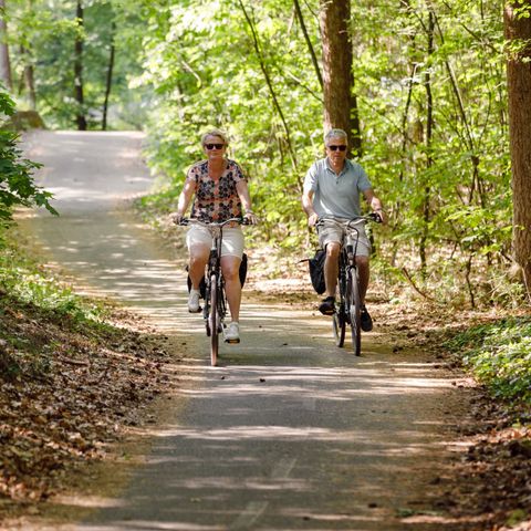 RCN Vakantiepark De Roggeberg - Camping Ooststellingwerf - Image N°4