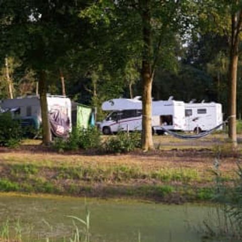 Emplacement - RCN Zeewolde - Camping-car