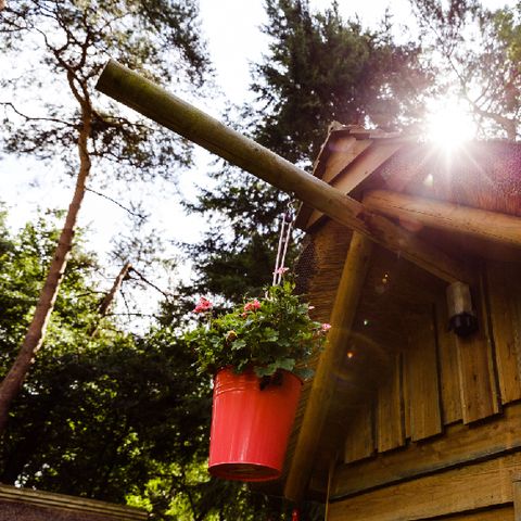 Hébergement 2 personnes - Cabane de randonneur Cabane de chasseur