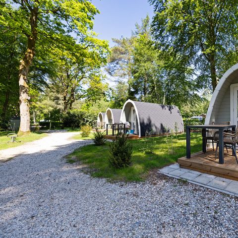 Tiny house 2 personnes - Boswachter Pod