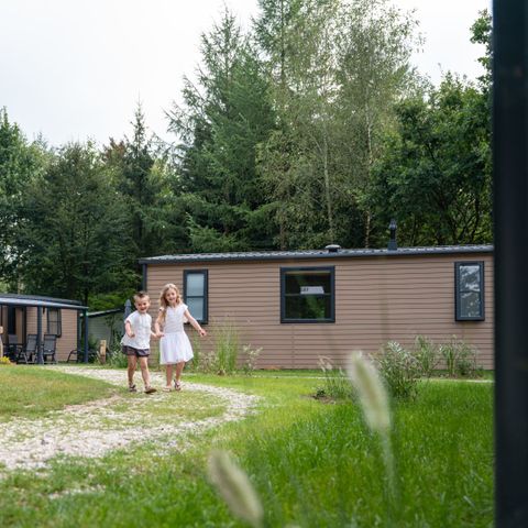 RCN Vakantiepark de Jagerstee - Camping Epe - Image N°3