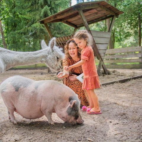 RCN Vakantiepark de Jagerstee - Camping Epe - Image N°4