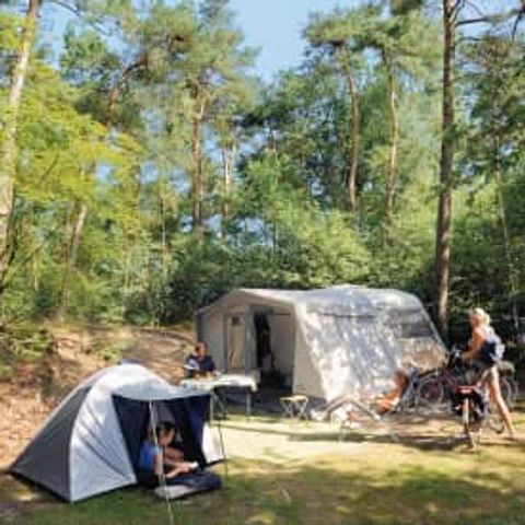 Emplacement - RCN de Noordster | Emplacement de camping / Emplacement camping-car