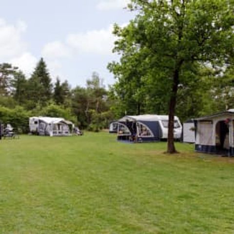 Emplacement - RCN de Noordster | Emplacement confort de camping