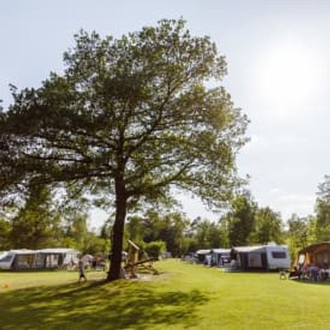 Emplacement - RCN de Noordster | Emplacement confort de camping