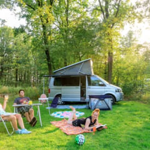 Emplacement - RCN de Noordster | Emplacement de camping XL