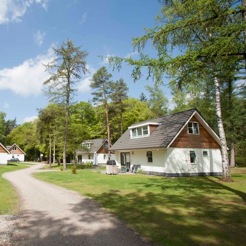 MAISON 6 personnes - Hydepark