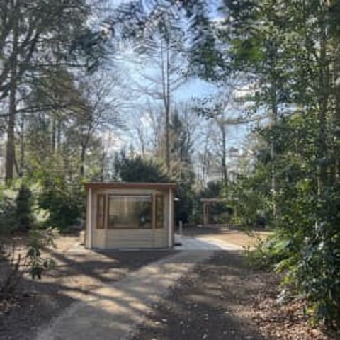 CHALET 3 personnes - Chalet Dartheide