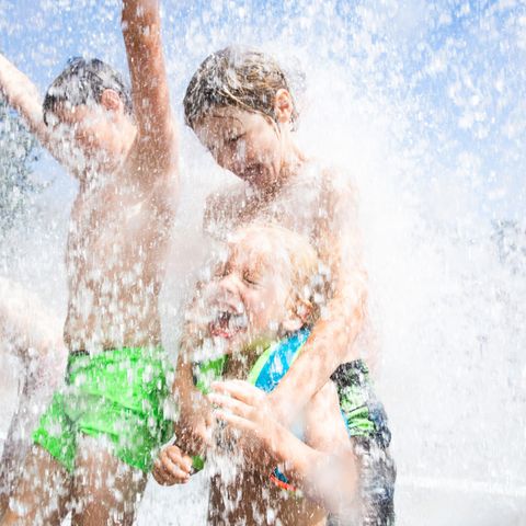 RCN Vakantiepark het Grote Bos - Camping Utrechtse Heuvelrug - Image N°6