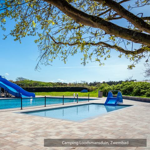 Texelcamping Loodsmansduin - Camping Texel - Image N°4