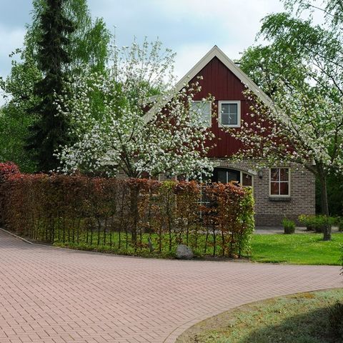 Buitenplaats In den Olden Bongerd - Camping Winterswijk - Image N°2