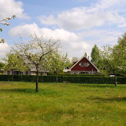 Buitenplaats In den Olden Bongerd - Camping Winterswijk - Image N°3