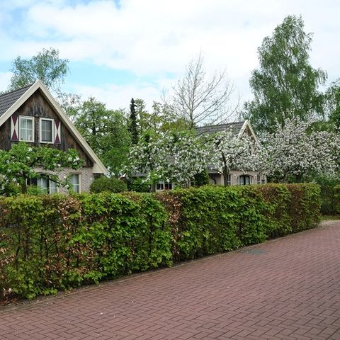 Buitenplaats In den Olden Bongerd - Camping Winterswijk - Image N°6