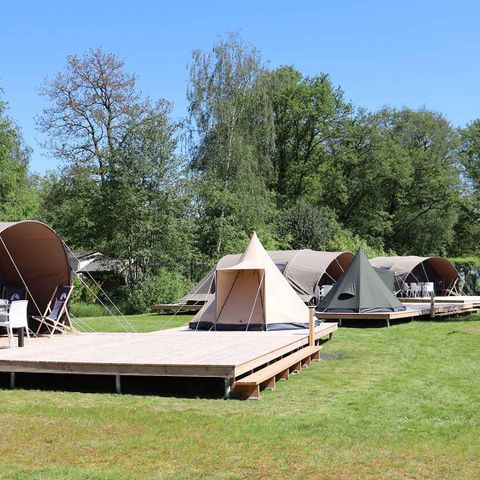 TENTE 6 personnes - Coquelicot