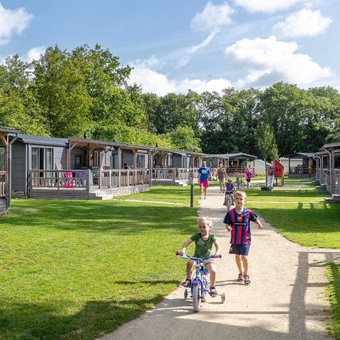 Molecaten Park 't Hout - Camping Opsterland - Image N°2