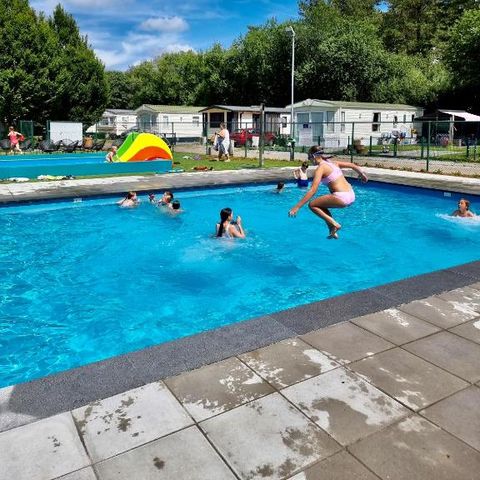 Verblijfpark Breebos - Camping Anvers - Image N°6