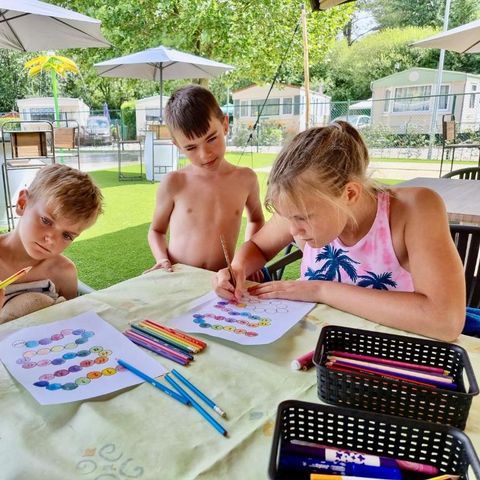 Verblijfpark Breebos - Camping Anvers - Image N°3