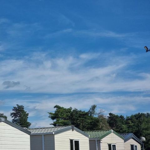 Verblijfpark Breebos - Camping Anvers - Image N°2