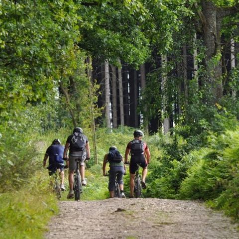 Verblijfpark Ardinam - Camping Namur - Image N°3