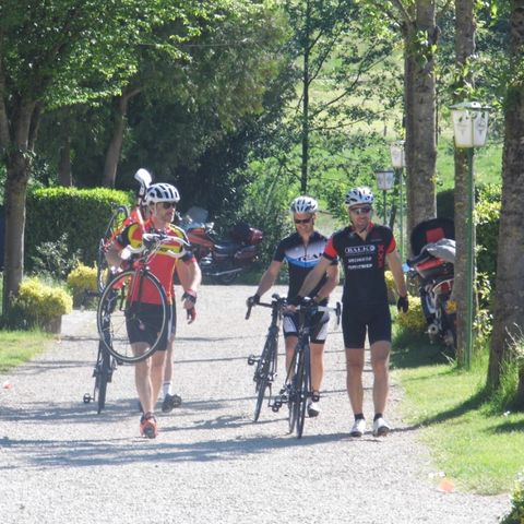 Ferienpark Eifellux - Camping Rhénanie-Palatinat - Image N°5