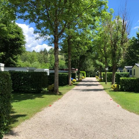 Ferienpark Eifellux - Camping Rhénanie-Palatinat - Image N°6