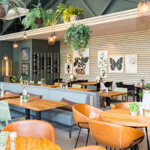 Landal Sonnenberg - Camping Rhénanie-Palatinat - Image N°3