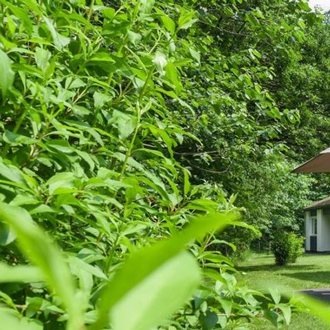 BUNGALOW 4 personnes - 4L