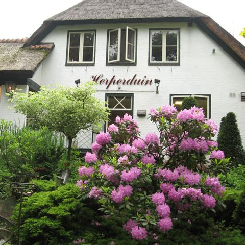 Hogenboom Vakantiepark Herperduin - Camping Oss - Image N°3