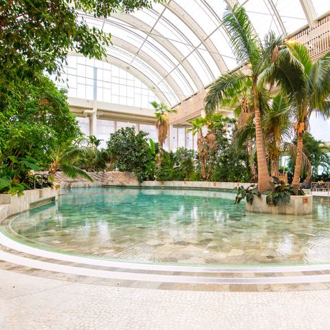 Center Parcs Park Allgäu  - Camping Bavière - Image N°3