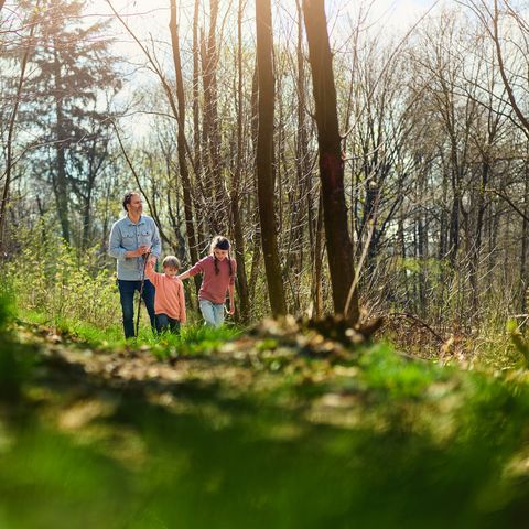 Center Parcs Park Hochsauerland - Camping Rhénanie du Nord-Westphalie - Image N°6