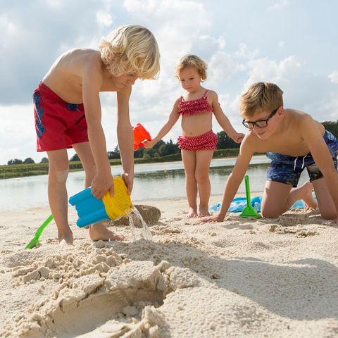 Landal Dwergter Sand - Camping Basse-saxe - Image N°2