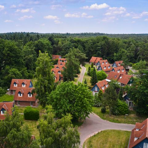 Landal Dwergter Sand - Camping Basse-saxe - Image N°4