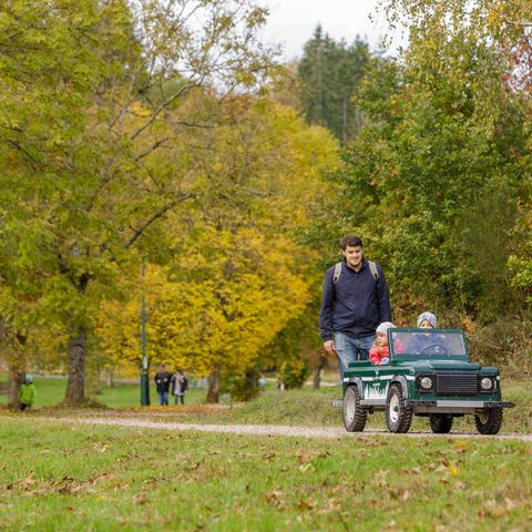 Center Parcs Park Bostalsee - Camping Sarre - Image N°5