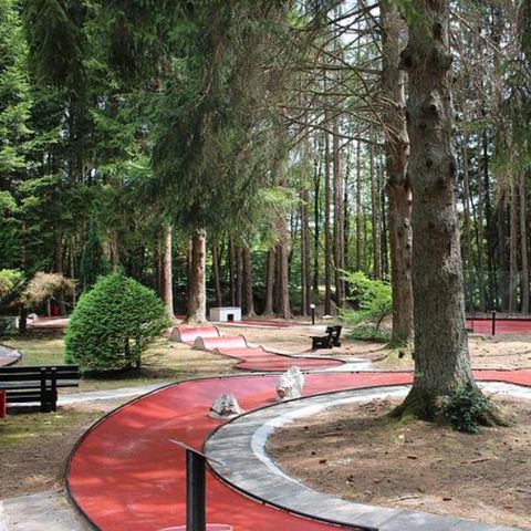 Ferienpark Hambachtal - Camping Rhénanie-Palatinat - Image N°5