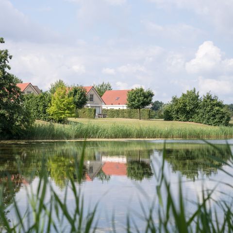 Resort Boschmolenplas - Camping Maasgouw - Image N°2