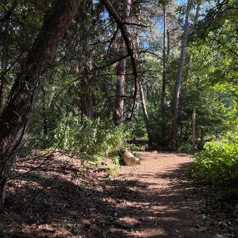 BUNGALOW 2 personnes - Wood Lodge Eco