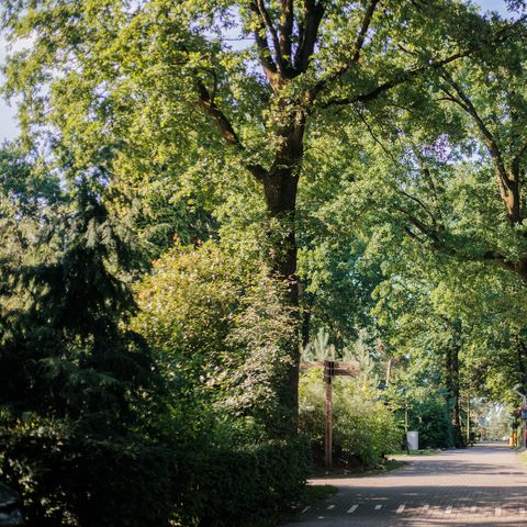 Park Berkenrhode - Camping Ede - Image N°6