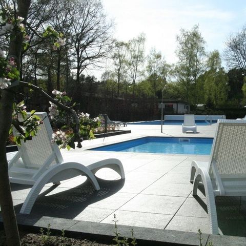 Park Berkenrhode - Camping Ede - Image N°5